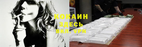 шишки Балабаново
