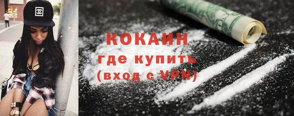шишки Балабаново