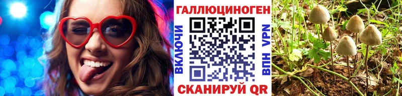Галлюциногенные грибы GOLDEN TEACHER ОМГ ОМГ ССЫЛКА Новокубанск